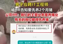 男子应聘程序员岗位，被要求先养两个月猪？HR回应