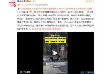 边牧扑倒老人致骨折犬主因拴绳拒赔