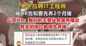 男子应聘程序员岗位，被要求先养两个月猪？HR回应