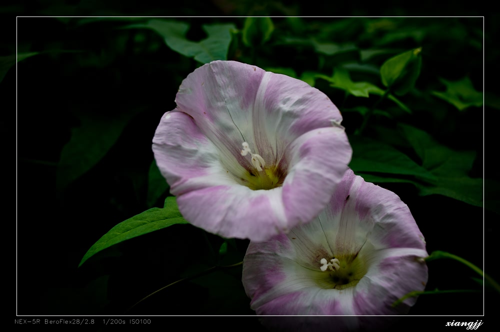 2_692337_3d75132c2d3ed7a.jpg