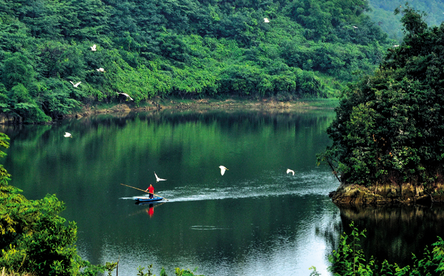 20140808104439427.jpg