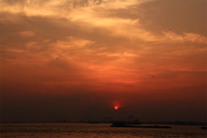 210403c8xlqc5c5zqd5dgw.jpg