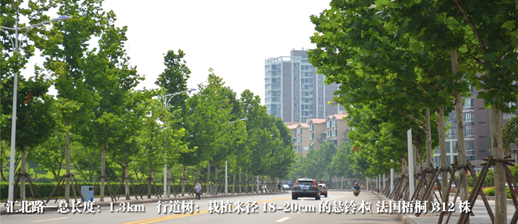 20150202062808_68864.jpg