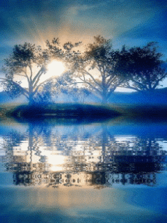 64caff45e9d441d32a388f8172c15be2.gif