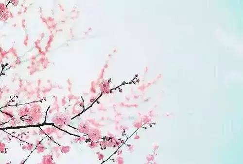 9f4f6180fc8be97f99d97d5a2f1f75c7.jpg