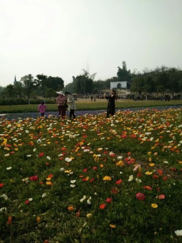 002712tc0shs5achz93ncn.jpg.thumb.jpg