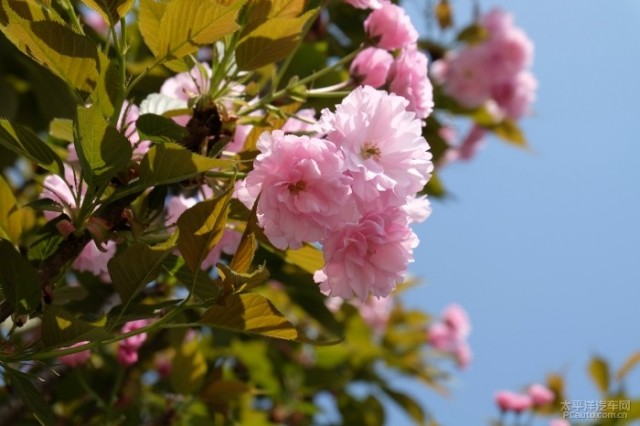182257nbbmi52pck1o7izc.jpg.thumb.jpg