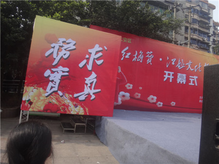 2016年大安.今天上午江姐文化艺术节开募式在大安举行