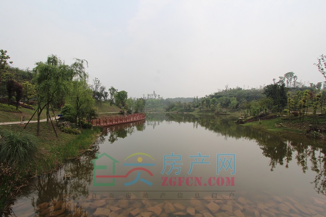 11161248ca30cb136d8446.jpg