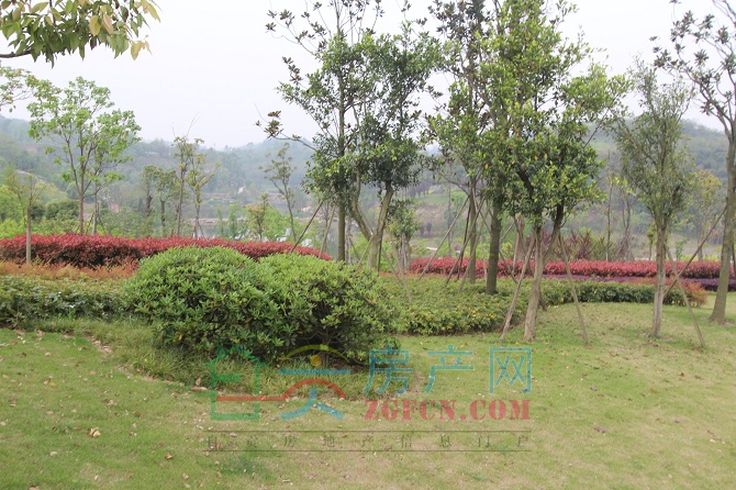 111614007652d50bea5423.jpg