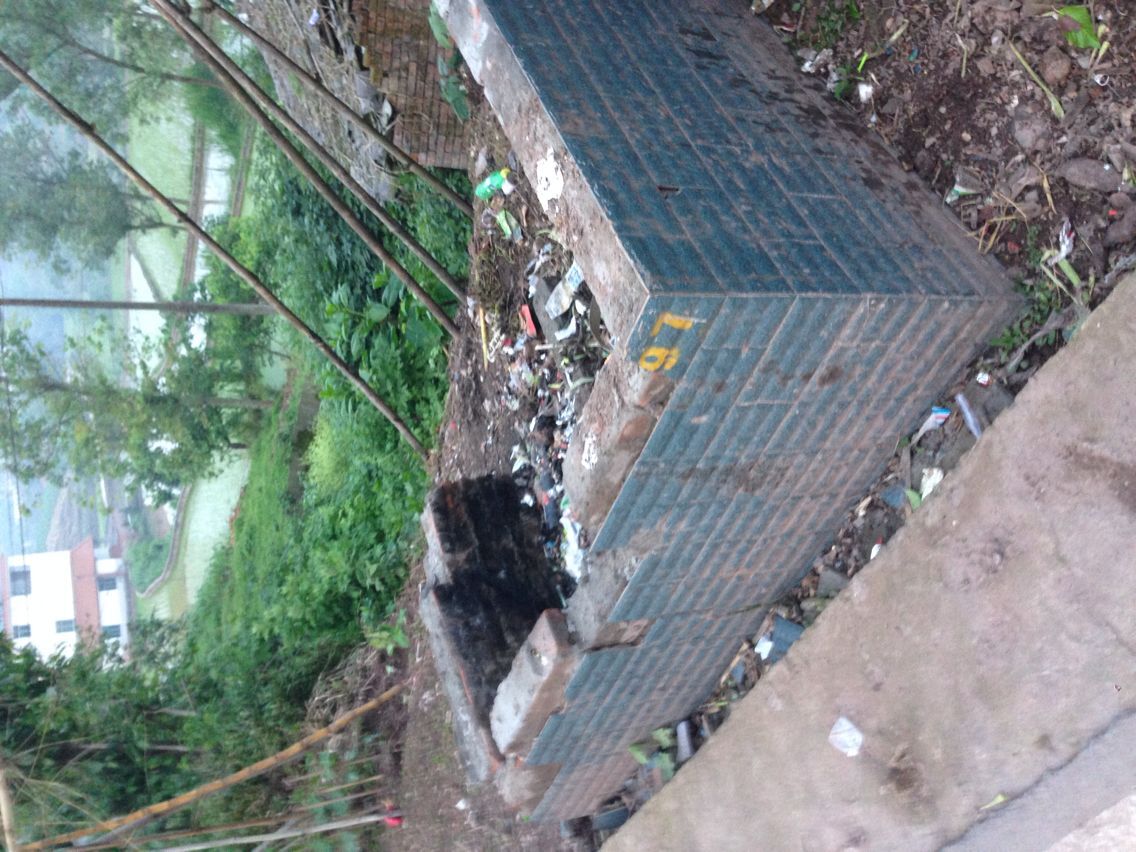 L5.jpg