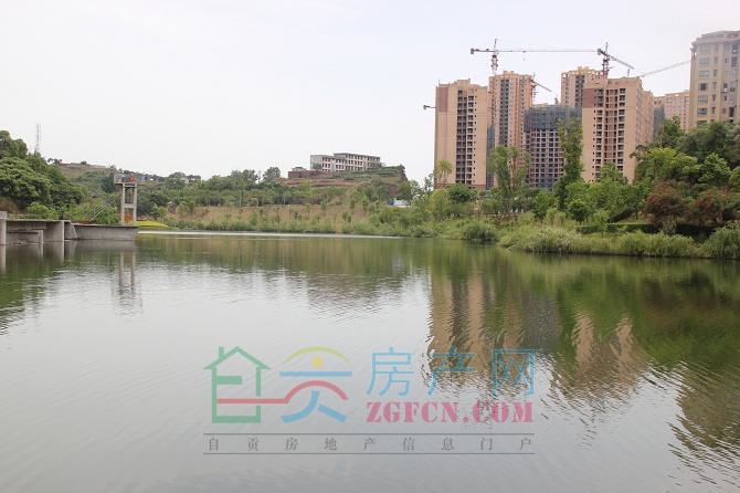 16145414b6be2e266b3447.jpg