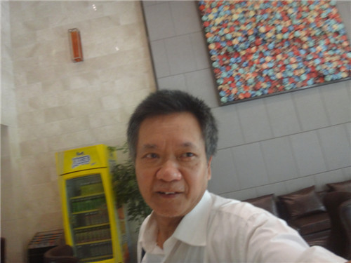 自贡城市盐文化信仰力量，扎染文化用于酒店装饰。