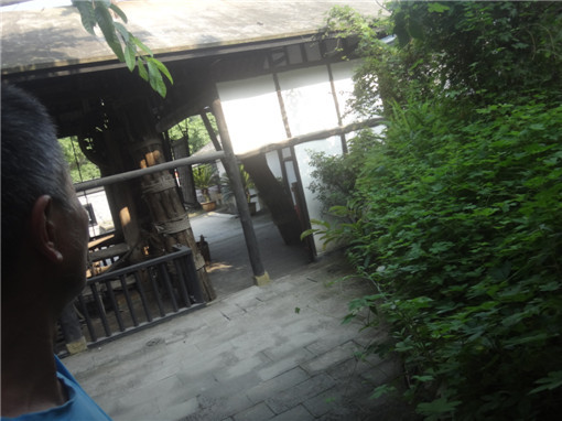DSC07844.JPG