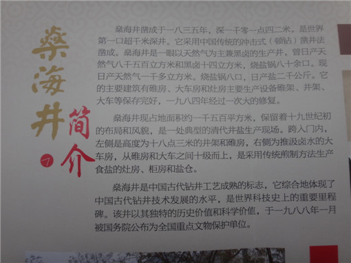 DSC07909.JPG