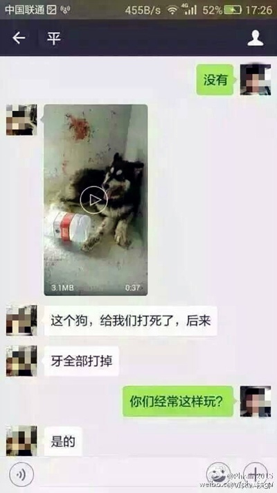 170142eqy3ynjx55mbbvvt.jpg.thumb.jpg