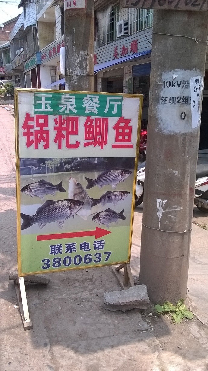 b3f771aa3b9a56ede576e9756fecf001.jpg