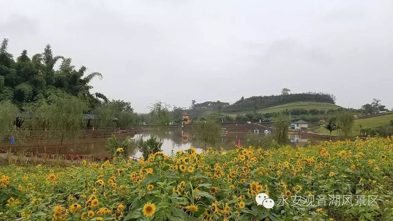 b3fe858709986bf284d72b7690180181.jpg