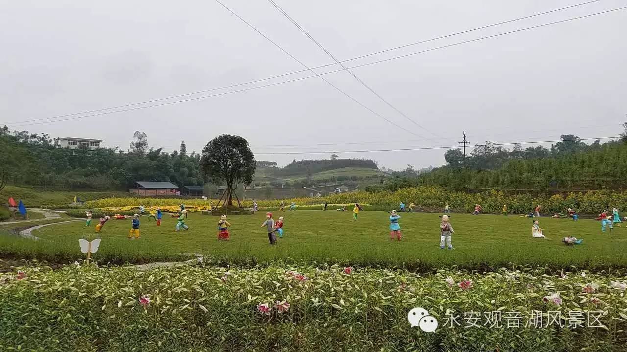 4e4779a3852c224ab77bf2ff51878ea2.jpg