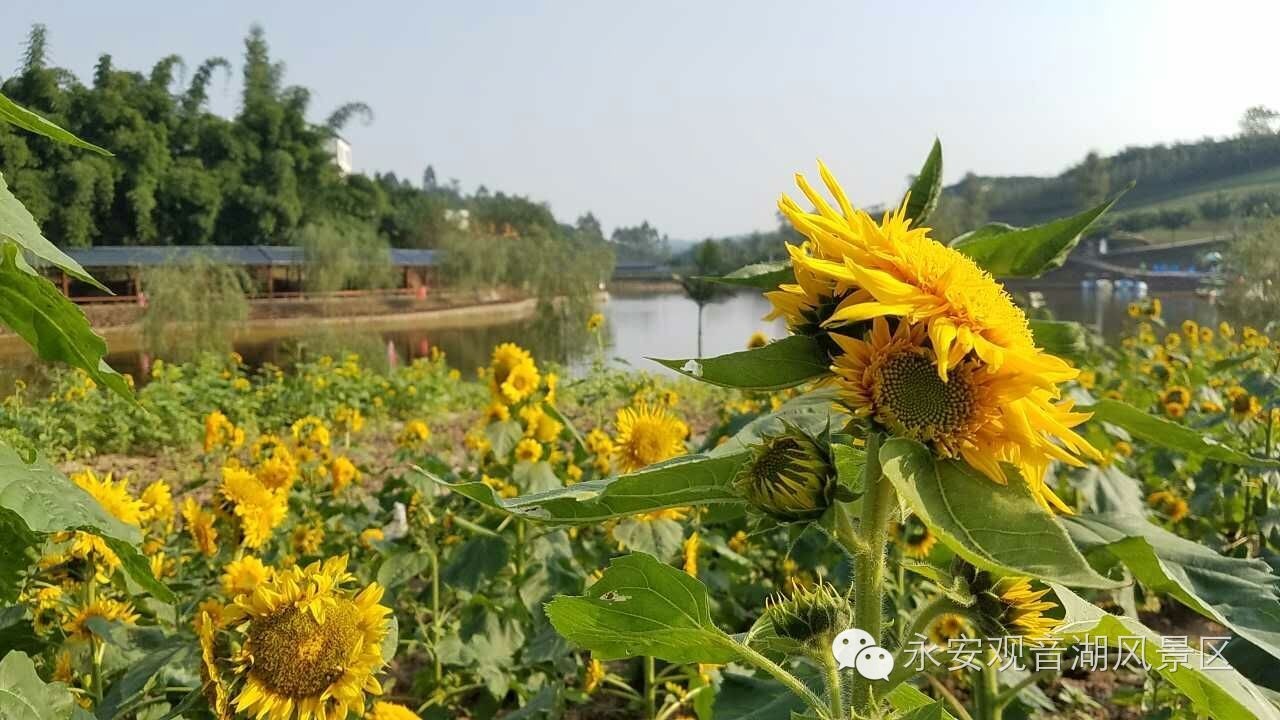 4d24744d3e5188abf1e0ffaa3cd01321.jpg
