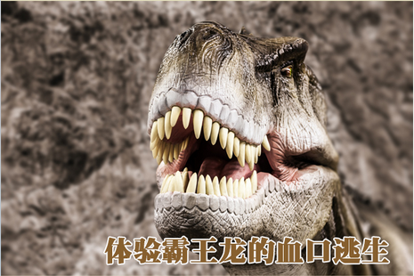 143329jddl52e5d05to932.png.thumb.jpg