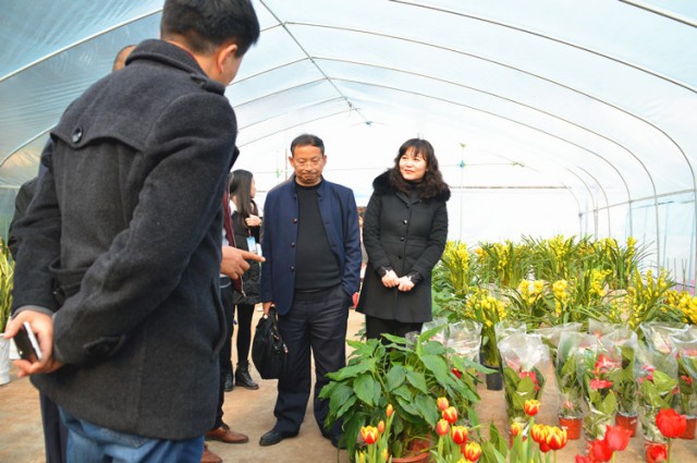 181122gxhao2oxh22i1hlh.jpg.thumb.jpg