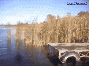 d88b8d692a65870899e29d49da3f062d.gif