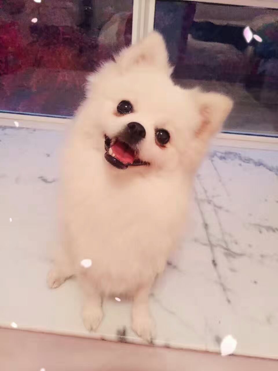 QQ图片20170129221229.jpg