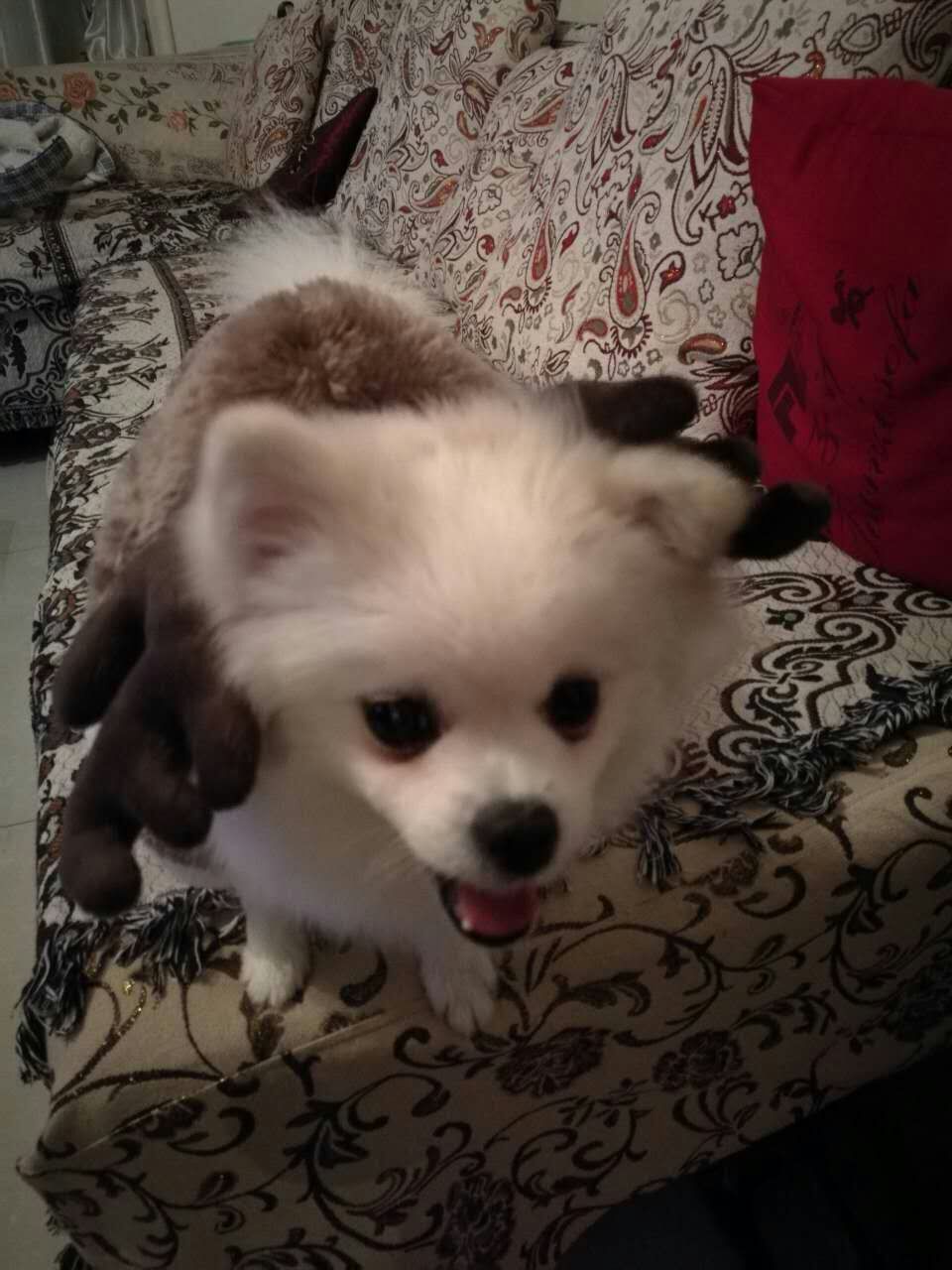 QQ图片20170129221442.jpg