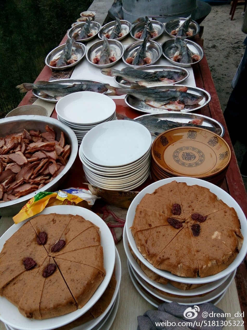85114_5540338_225354.jpg
