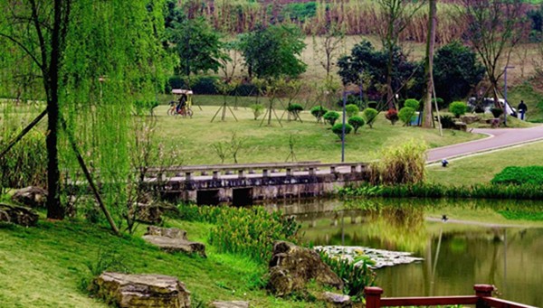 170615f8lllbyp80j0h1mf.jpg.thumb.jpg