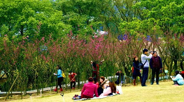 165405rv486qq1b84ofqho.jpg.thumb.jpg