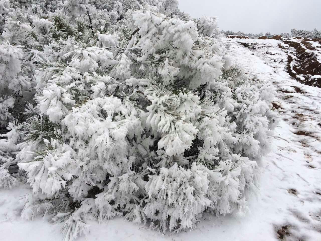 20170225182026.jpg