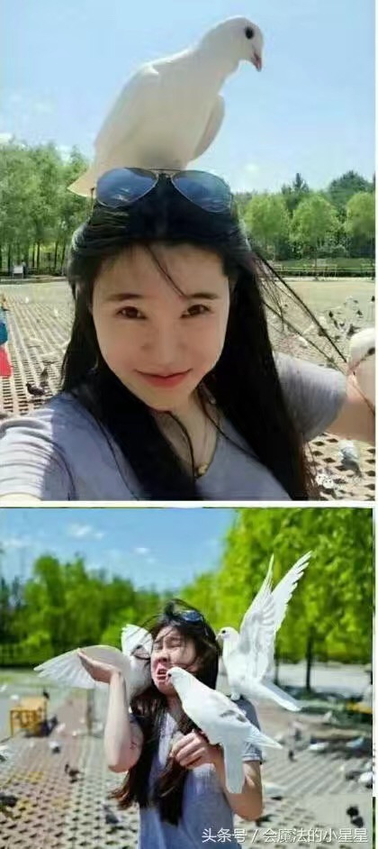 190809bi4ikn8kxmiqkkkm.jpg