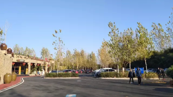 图片3.png