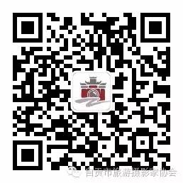 d37c3714139852c649df3b5f6e518224.jpg