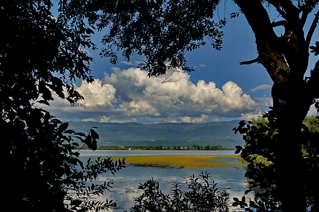 172_605400_7a86ecdbb4b3e7d.jpg