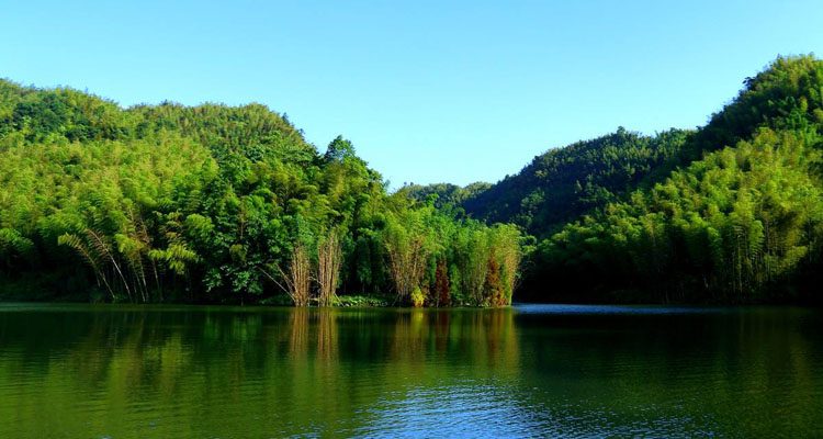 竹海2.jpg