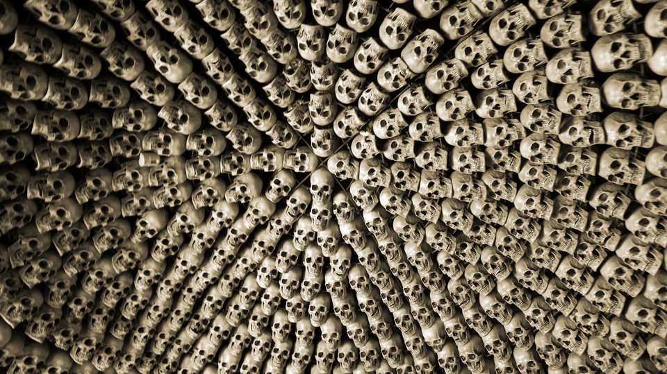 6631898996489248229.jpg