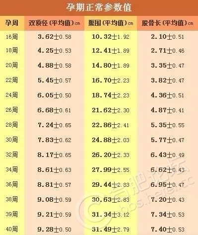 rBEBp1kIMtGAH1fGAAIGuV1PkE4192.jpg