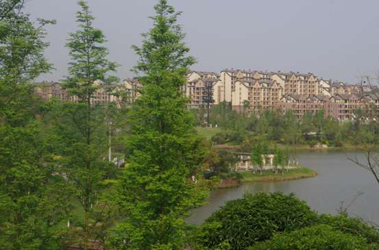 5a51ea55-4029-45bf-8d82-20d3cb665fa3.jpg