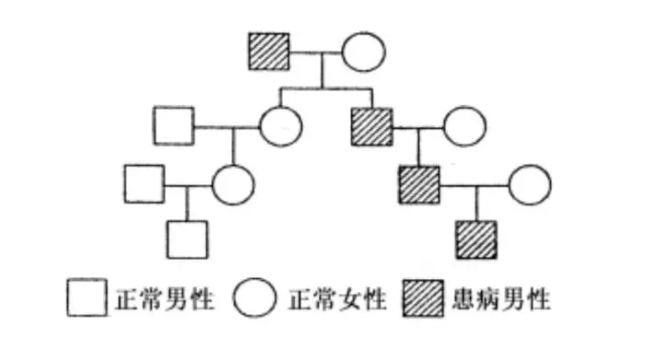 082848mz72jj6eo8aioije.jpg