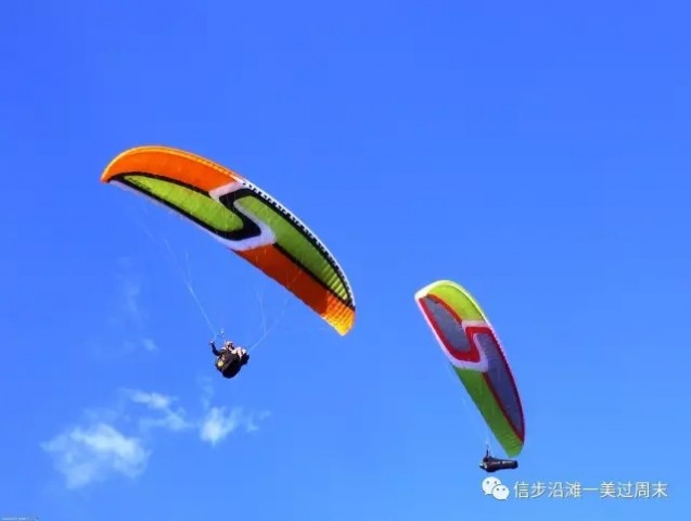 131605v43r45c4t74ggrr3.jpg.thumb.jpg