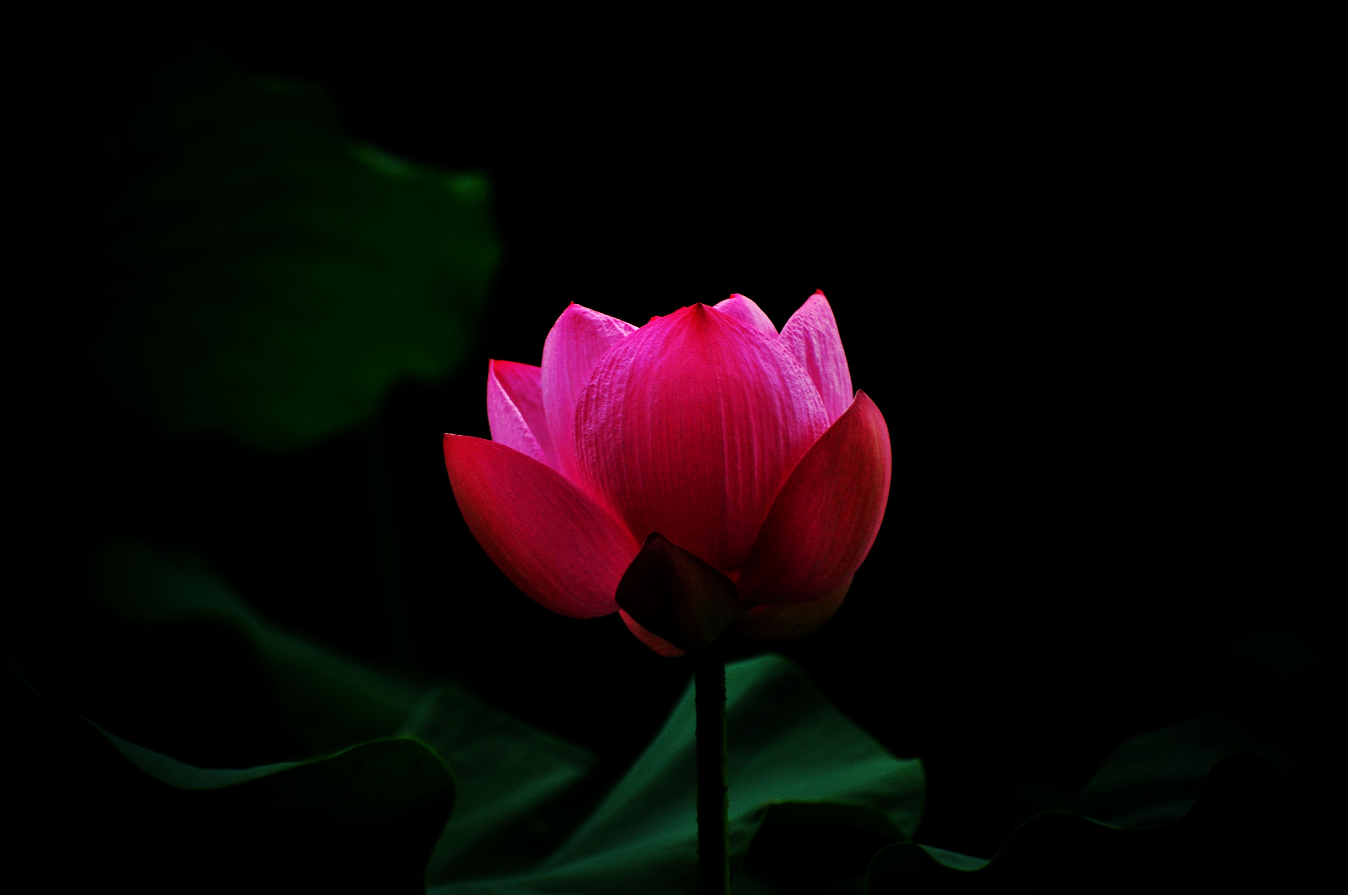 114209dkxbxc1kee5e5h7v.jpg