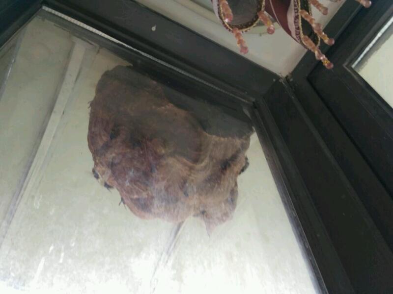 -4bd8cd7d198330e0.jpeg