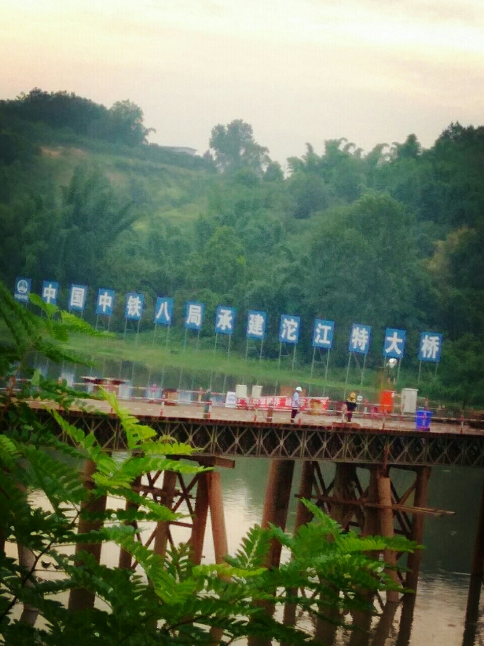 2017081011363310547413_960_1280.jpg