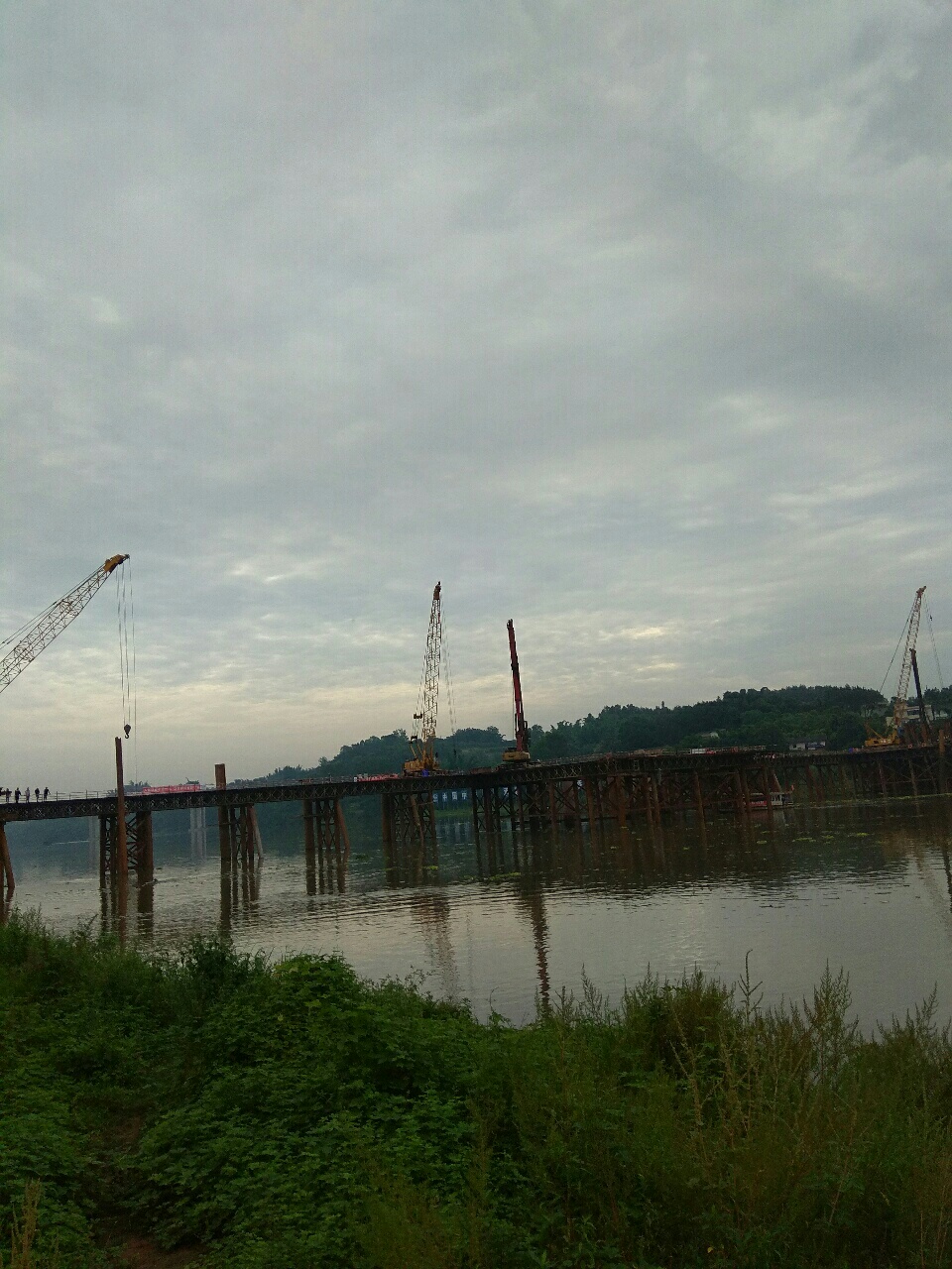 2017081011364673775352_960_1280.jpg