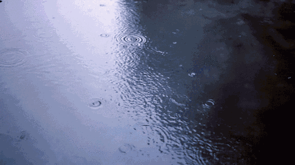 93a021929d16e60c2053c66a2f97730d.gif