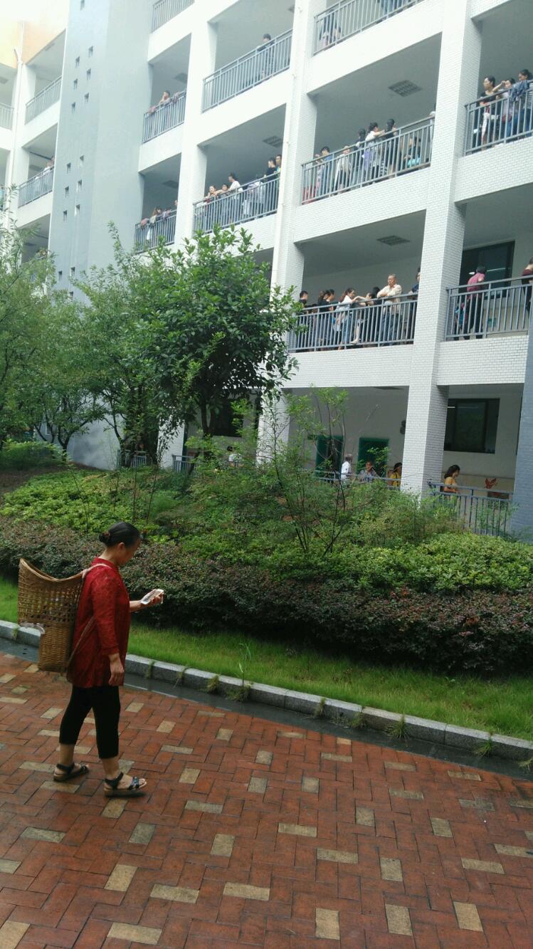 1504313396284.jpeg