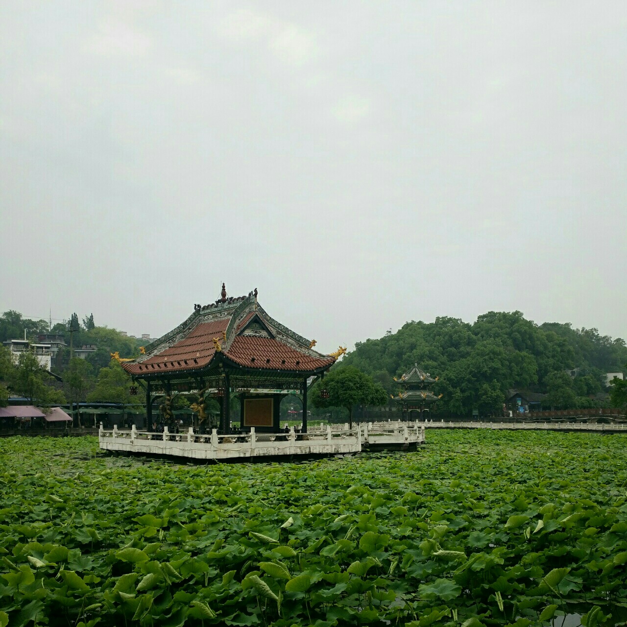 2017090607395022434623_1280_1280.jpg